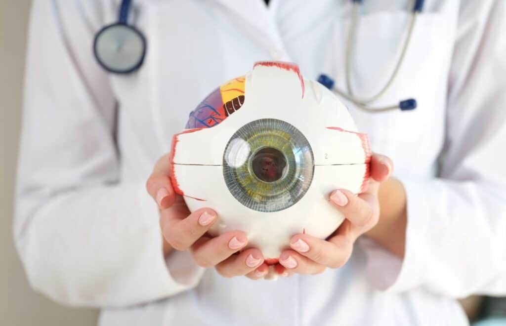 ליווי לקראת ניתוח ויטרקטומיה -הסבר על ניתוח ויטרקטומיה - דוקטור אליק רוזנפלד